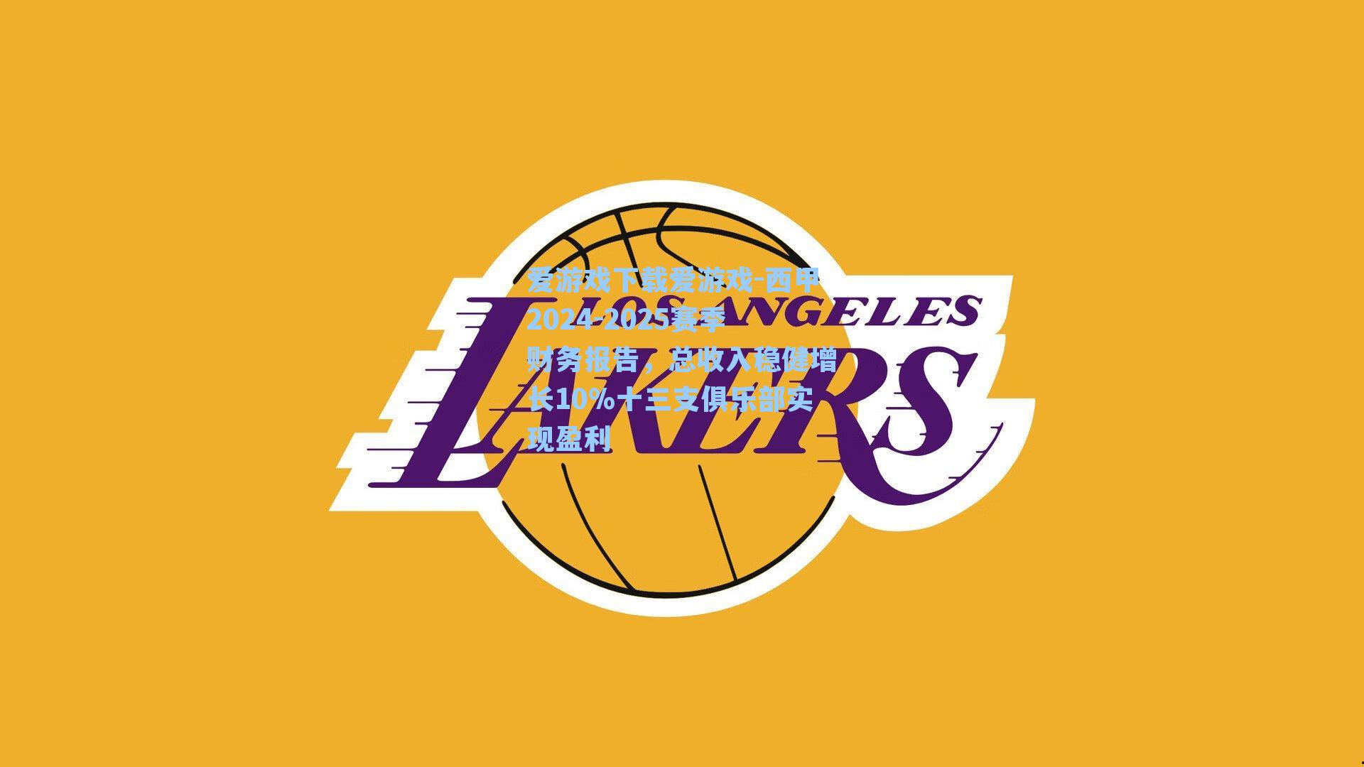 爱游戏下载爱游戏-西甲2024-2025赛季财务报告，总收入稳健增长10%十三支俱乐部实现盈利